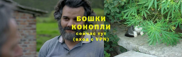 spice Липки