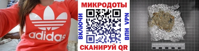 Галлюциногенные грибы Psilocybe Ртищево